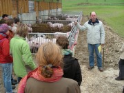 Betriebsleiter Frank Radu präsentiert stolz den neuen Mastschweinestall